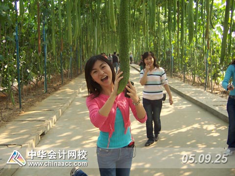 绿色的收获