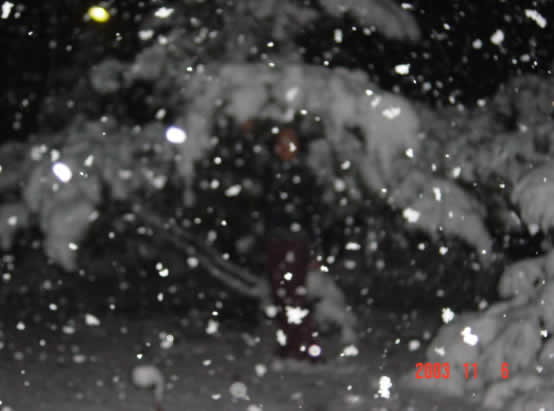 入夜，下起了大雪，在雪夜散步的情景，真的很舒心！</